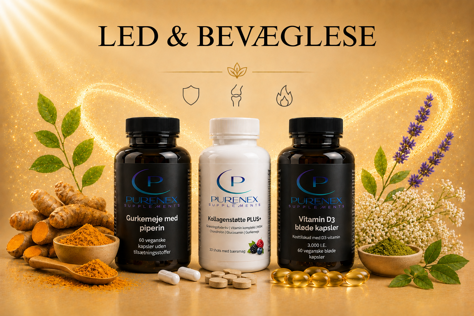 Led & Bevægelse