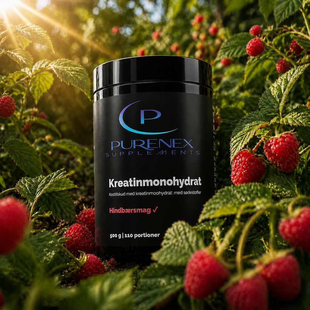 Kreatinmonohydrat Hindbær – 500 g.